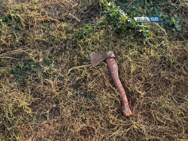    С топором и ножом к старушке. В Оренбуржье трое мужчин пошли на грабеж из-за карточного долга Кристина Просвиркина