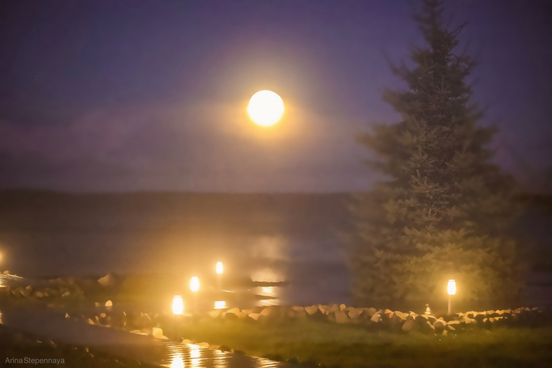    Бобровая луна поднялась над ПетрозаводскомАрина Степенная