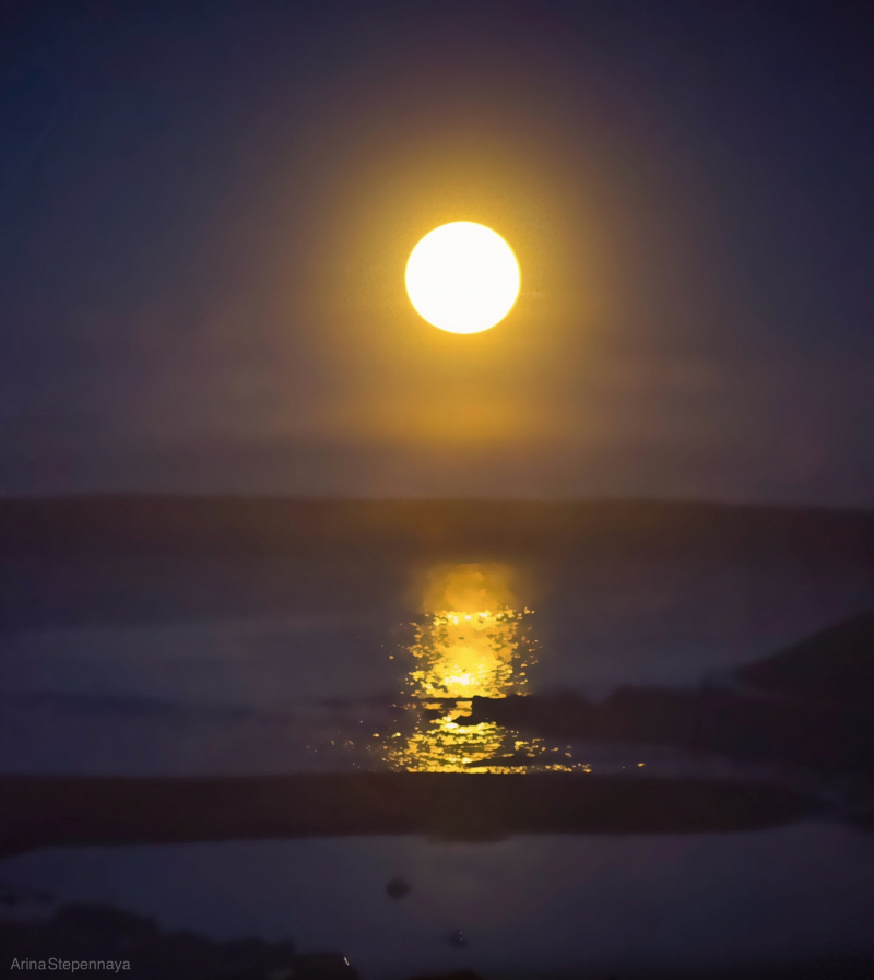    Бобровая луна поднялась над ПетрозаводскомАрина Степенная