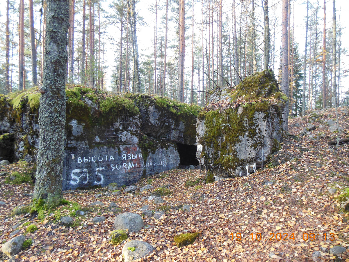 ДSJ-5 Миллионный Фото моё