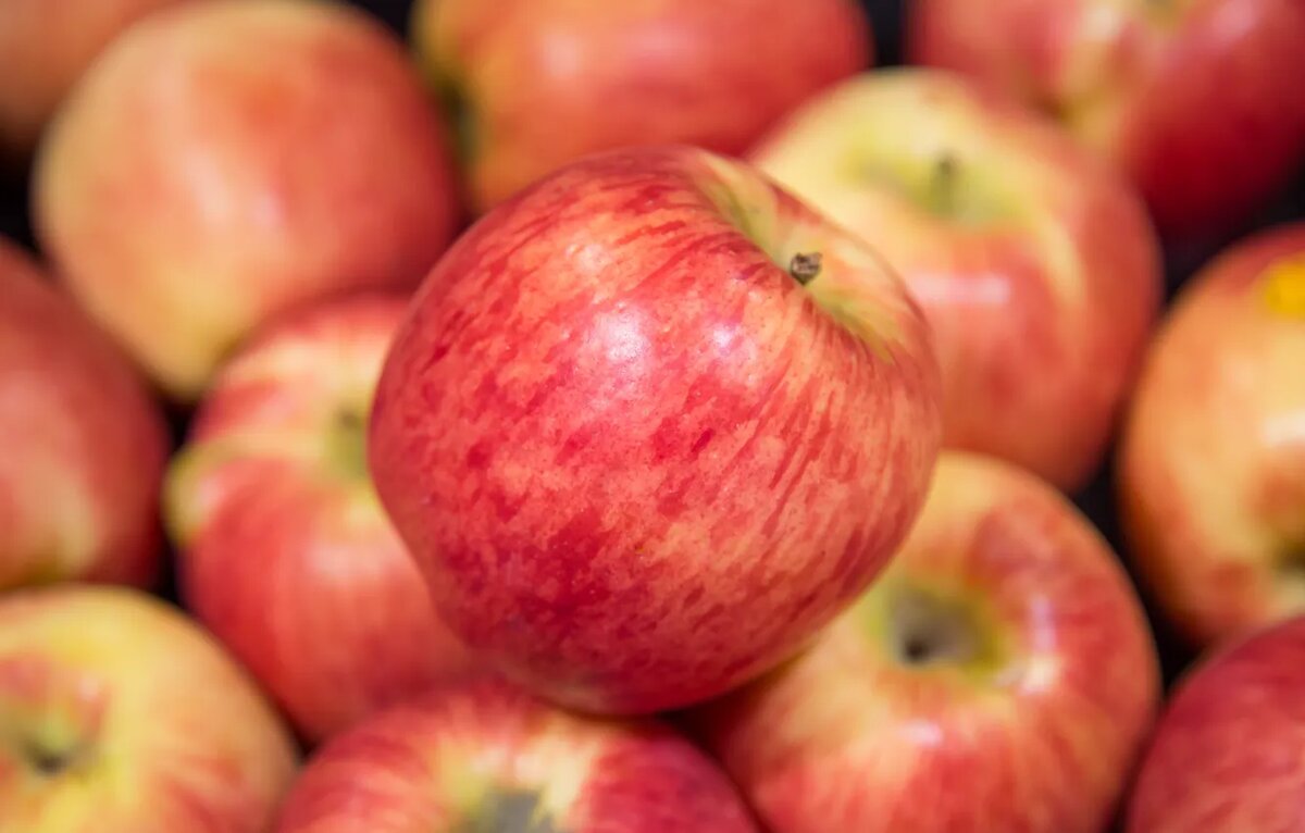 Honeycrisp (Медовый хруст)