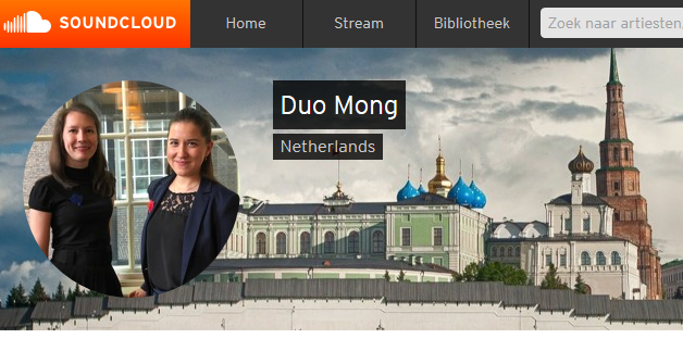 
Источник фото: duomong.nl