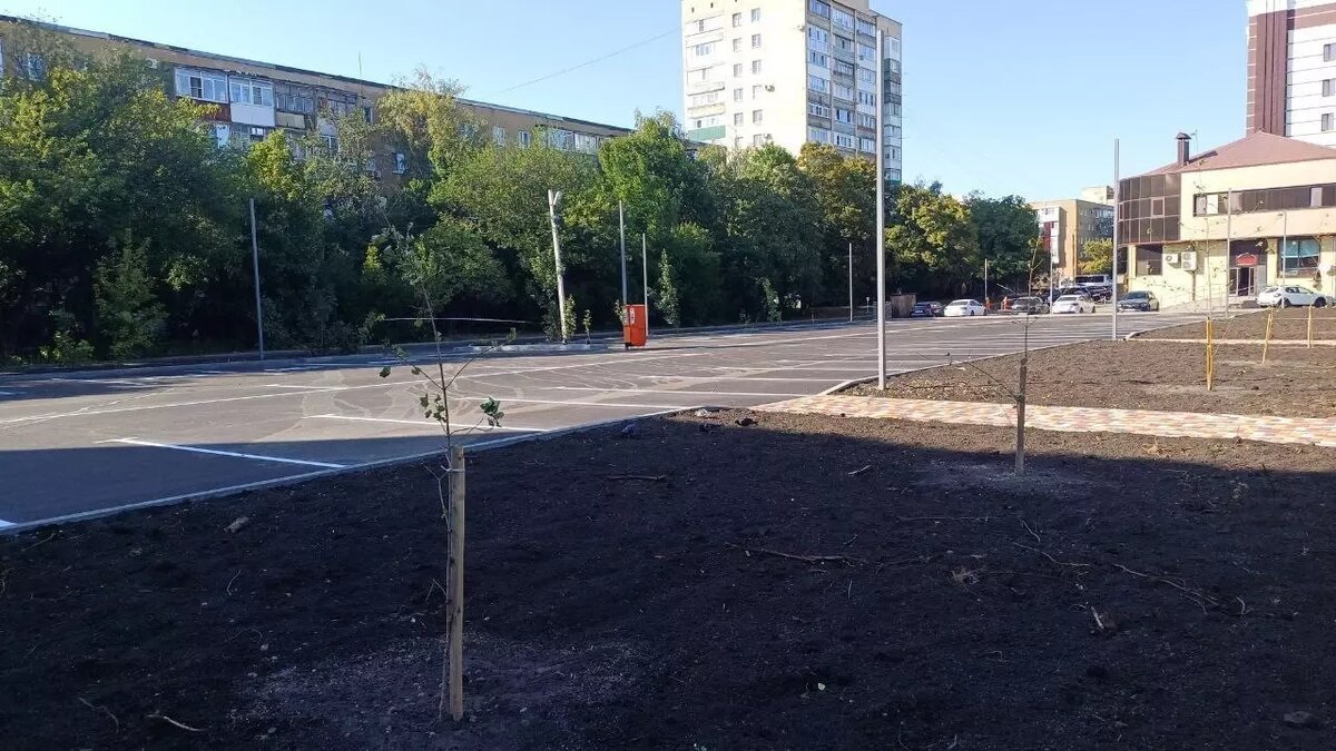     Источник: администрация Ставрополя