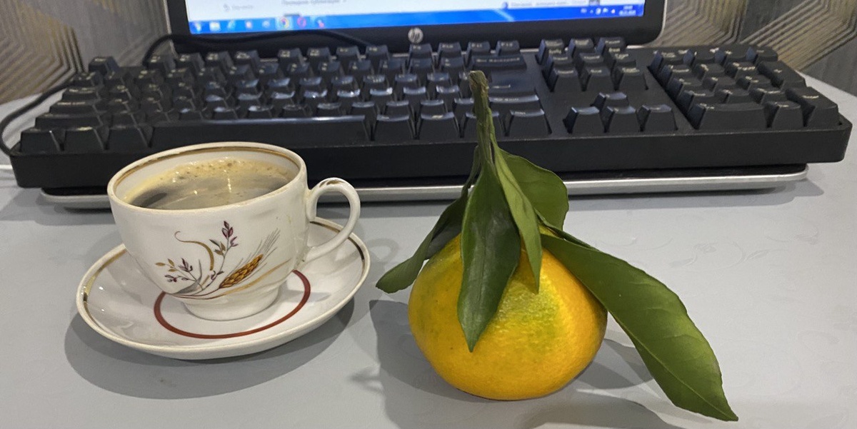 Недозревший мандарин. Фото автора