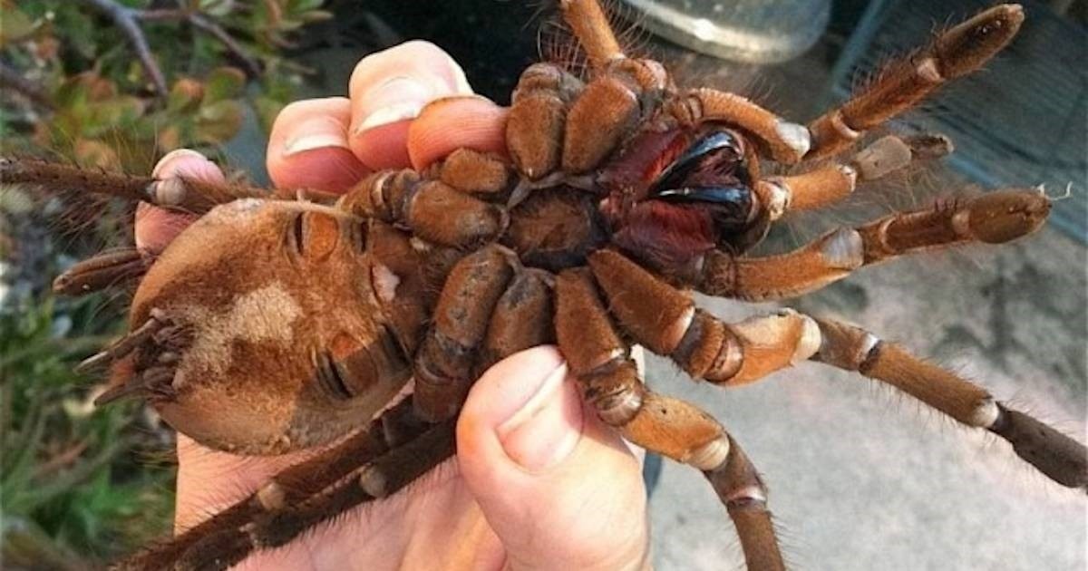 Картинка из свободных источников