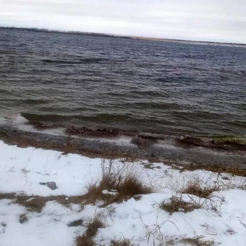 Фото: Поисково-спасательная служба Челябинской области