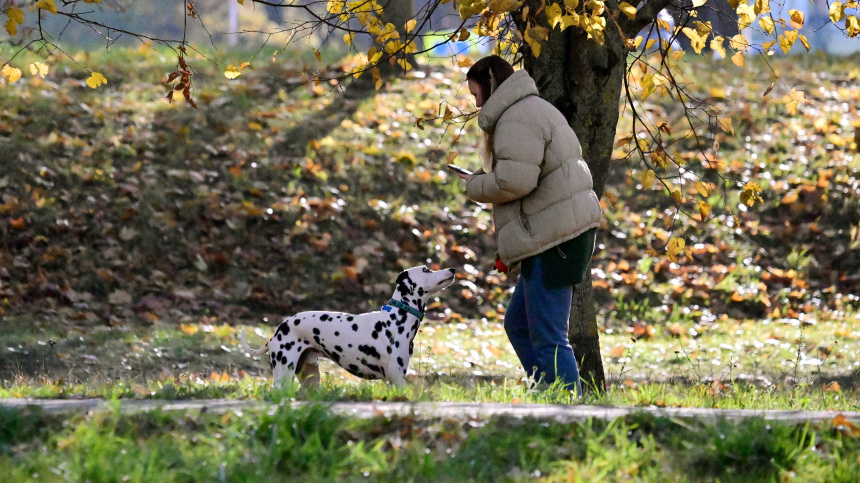    Фото: © РИА Новости/Владимир Федоренко
