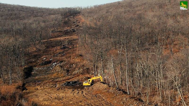    Источник фото: Администрация Владивостока