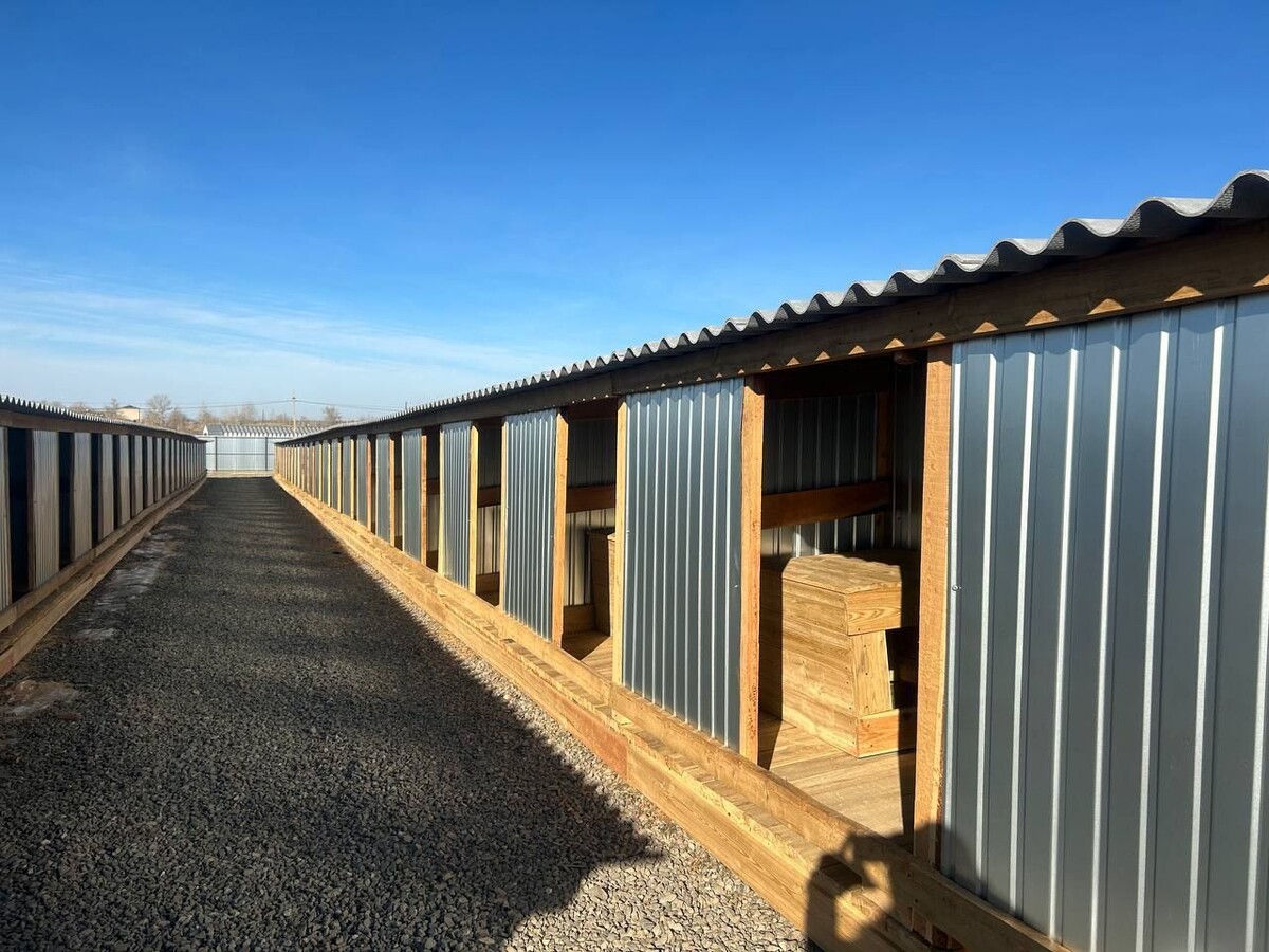    Фото: Администрация Борзинского района