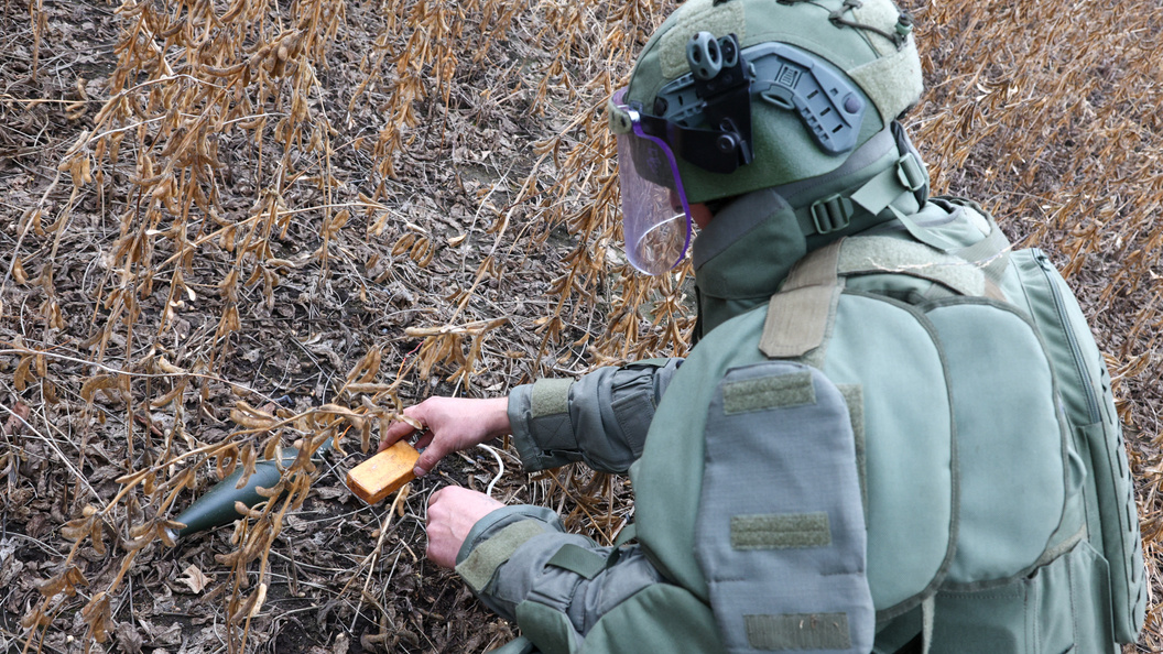    Shatokhina Natalya/news.ru/Globallookpress