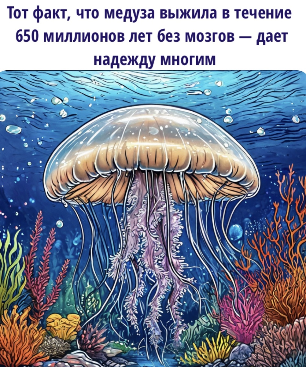 Моя картинка