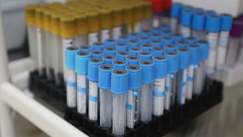      Фото: ИА «Победа26»