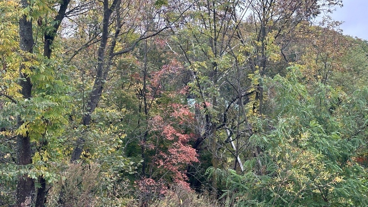     Источник: vostokmedia.com