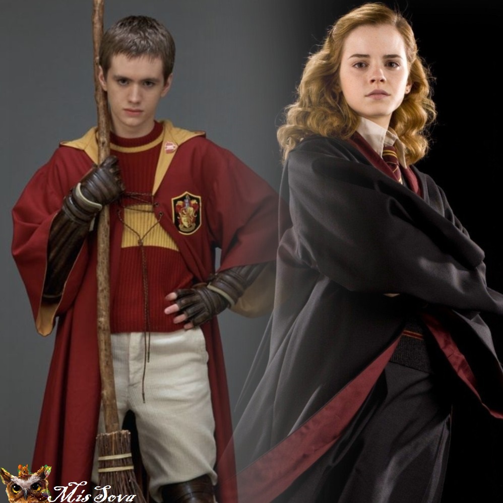 Как вы думаете, какая тема для разговоров более нудная: ГАВНЭ или квиддич? Коллаж автора