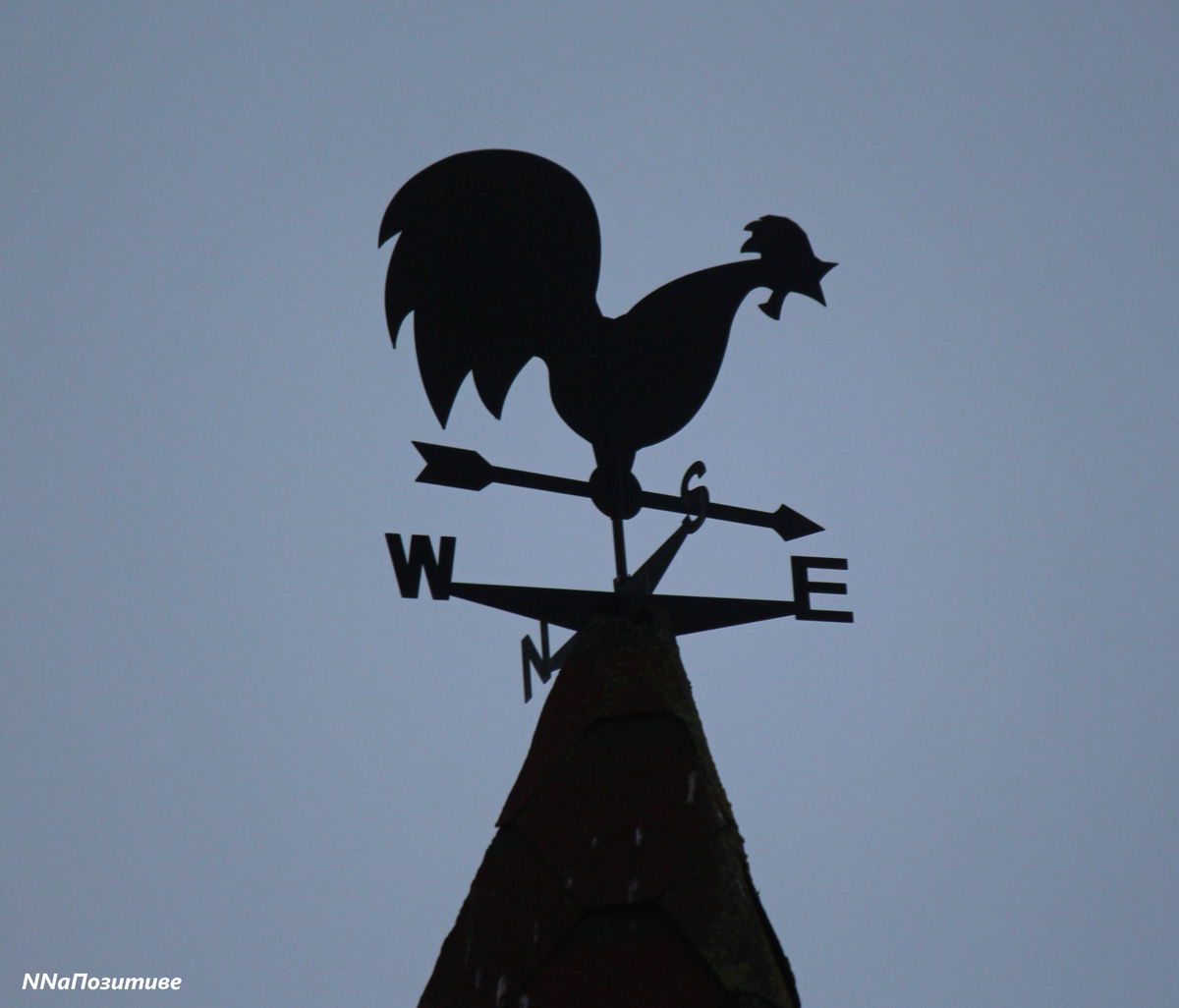 Флюгер в зоопарке "Лимпопо"