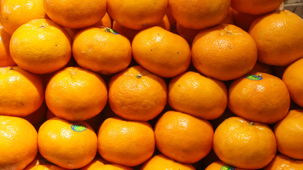    Фото: Petrov Sergey/news.ru