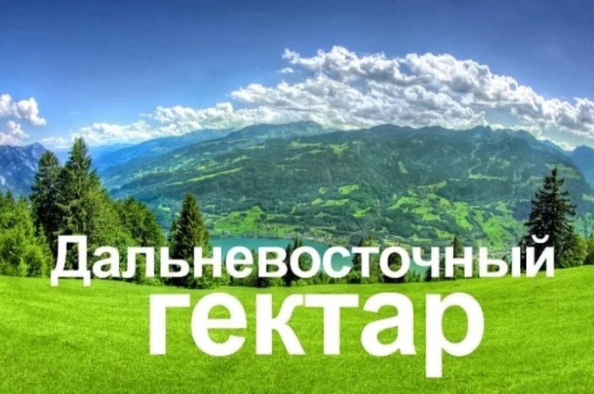    Более 3 300 участков получили камчатцы в рамках «Дальневосточного гектара»