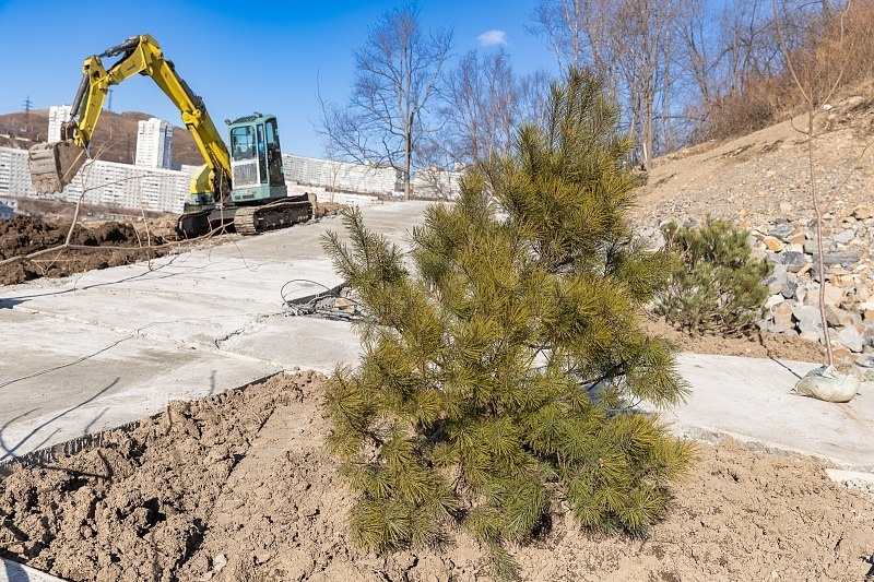     Автор: Максим Долбнин Источник: vlc.ru