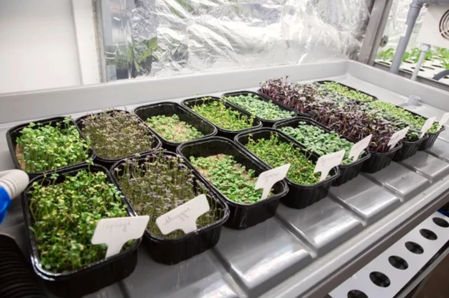 Фото: Наталья Ларина