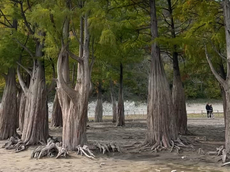    Фото: Анна Земскова/BFM Кубань