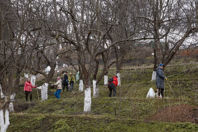 Фото: Наталья Ларина