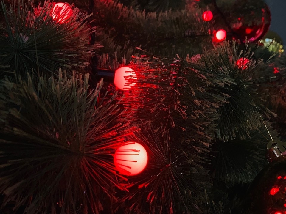    Фото: фотоархив портала КП в Костроме