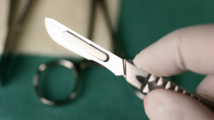    Фото: www.globallookpress.com/CHROMORANGE/Bilderbox