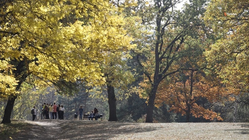      Фото: ИА «Победа26»