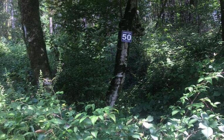    Фото пресс-службы прокуратуры Краснодарского края