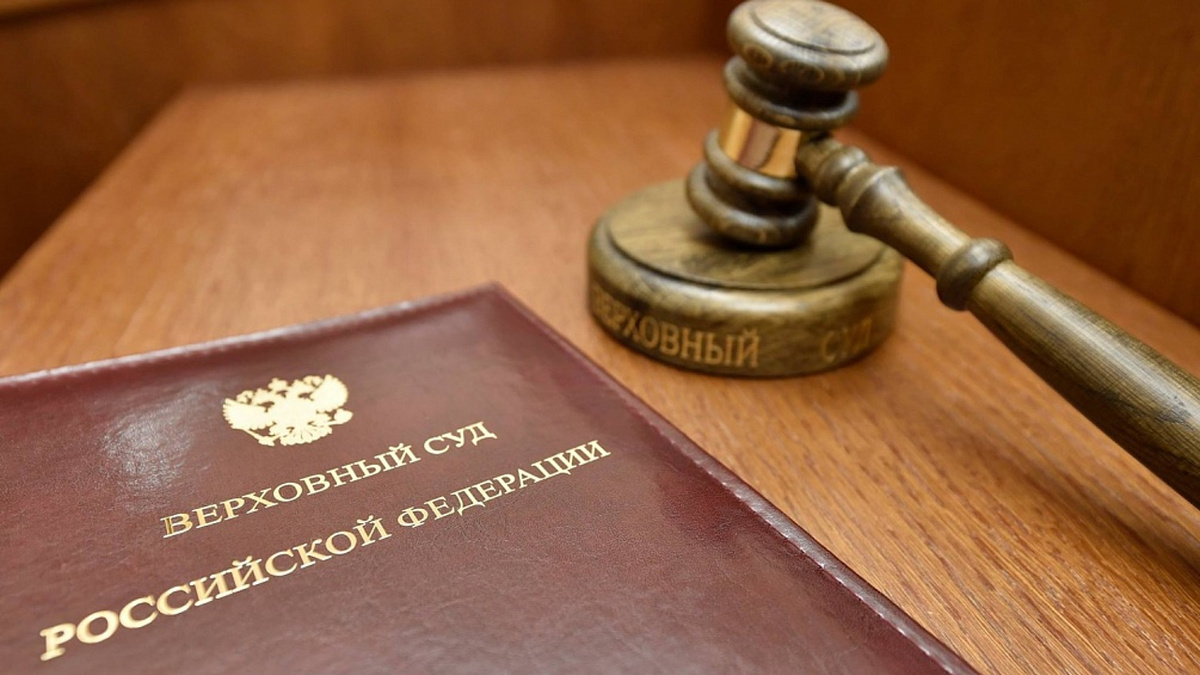 Суть дела Елены Новоселовой