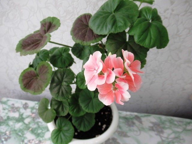 фото автора 18 ноября 2024 г