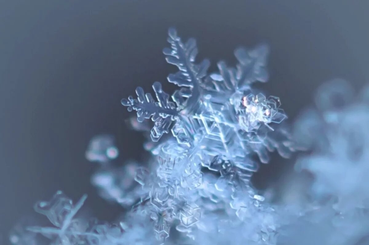    Жителям Новосибирска озвучила цены в Ледовый городок на Набережной