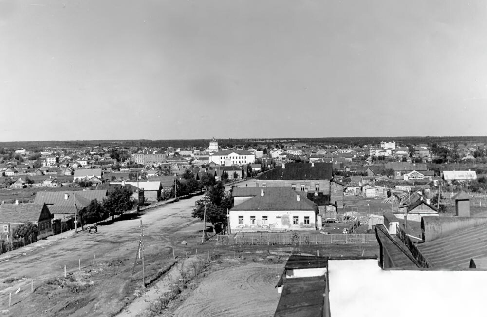 Общий вид города Гжатска. Снимок сделан с крыши здания зооветтехникума. Середина 1950-х гг. Из фондов ФГБУК «Музей-заповедник Ю.А. Гагарина»