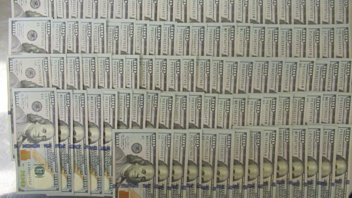    Фото: пресс-служба северо-западного таможенного управления