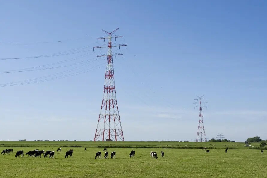    Фото: Ralph Kerpa/imageBROKER.com