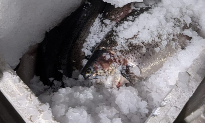    Фото t.me/rsn_yug