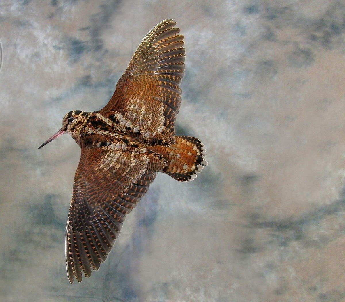 из Интернета