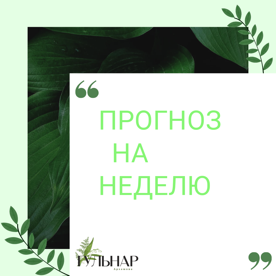 ПРАВИТЬ НЕДЕЛЕЙ БУДЕТ ЧИСЛО  5Получается, что на этой неделе правит число двойственности и золотой середины — Пятерка. Это говорит о том, что не будет никакой нужны фокусироваться лишь на одной сфере жизни. Пятерка любит, когда люди разделяют свое внимание. Проявляйте активность в финансовой сфере, в любви, а также занимайтесь домашними делами. Времени и сил должно будет хватить на все.Число 5 обострит нашу с вами интуицию, с помощью которой можно будет получить сокровенные знания, а также ответы на интересующие нас вопросы. Для обретения важных знаний и просветления рекомендуется медитировать и прислушиваться к внутренним ощущениям.Это время открытий, прозрения. Если вы хотите, чтобы и на вас снизошло озарение, освободите себя от общения с людьми, которые сбивают вас с пути и делают вас несчастными. Вам нельзя переживать и сомневаться в себе.❤️‍🔥Другим источником важной информации могут стать сны. Они покажут нам с вами истинную суть вещей, людей и событий. Например, если вы подозревали близкого друга в предательстве, а он приснился вам в положительном образе (помог вам с чем-то), то ваши подозрения точно напрасны.Данный период нераздельно связан с двумя стихиями: Водой и Огнем. Сила этих стихий не всегда будет положительной для души и организма. По этой причине не рекомендуется купаться в холодных источниках и смотреться долго в зеркала. Стоит быть осторожнее с огнем - лучше не разжигать костров. С другой стороны, полезно будет нежиться на солнышке, а также совершать водные путешествия на паромах, кораблях, лодках.Чтобы неделя прошла хорошо, поддерживайте в себе состояние легкой радости. Не обременяйте себя лишними делами и проблемами. Будьте доброжелательны и оптимистичны.Число 5 обострит нашу с вами интуицию, с помощью которой можно будет получить сокровенные знания, а также ответы на интересующие нас вопросы. Для обретения важных знаний и просветления рекомендуется медитировать и прислушиваться к внутренним ощущениям.Это время открытий, прозрения. Если вы хотите, чтобы и на вас снизошло озарение, освободите себя от общения с людьми, которые сбивают вас с пути и делают вас несчастными. Вам нельзя переживать и сомневаться в себе.Чтобы неделя прошла хорошо, поддерживайте в себе состояние легкой радости. Не обременяйте себя лишними делами и проблемами. Будьте доброжелательны и оптимистичны.Можно заниматься легким самоанализом. Прокручивайте в своей голове поступки, но избавляйтесь от иллюзий. Не бойтесь решать внутренние вопросы. Постарайтесь быть в гармонии с самим собой все это время.В обретении душевного равновесия вам поможет природа. Езжайте за город или займите себя работой в саду или огороде. Эмоциональный фон будет стабилен, но при нахождении на природе самочувствие будет еще более приятным.Окружающие могут срываться на вас, но не держите на них зла. Будьте и сами чуточку спокойнее. Не спешите с выводами, ведь в периоды правления Пятерки далеко не все однозначно и понятно.Число 5 поможет нам с вами побороть тоску, недомогание. Оно поможет найти источник переживаний и вновь вернуться к гармоничному состоянию. Ускорить данный процесс помогут духовные практики.В эти семь дней нельзя зацикливаться на себе и своих проблемах. Близкие люди нуждаются в вашей поддержке. Учитесь слушать других людей. Если вас посетит светлое, радостное чувство, то знайте, что это главный признак повышения вашей энергетики и раскрытия чакр.На этой неделе можно играть свадьбу, искать вторую половинку, знакомиться, флиртовать, ходить на свидания, признаваться в любви.В работе и бизнесе ищите новые подходы к решению привычных проблем. В целом это удачный период для экспериментов в своей сфере деятельности, разработки оригинальных решений. Все финансовые операции будут удачными, но только если они продуманы и приняты не сгоряча.Пятерка дает зеленый свет как новым начинаниям, так и завершению старых дел. Полезно будет раздавать долги, платить по счетам.