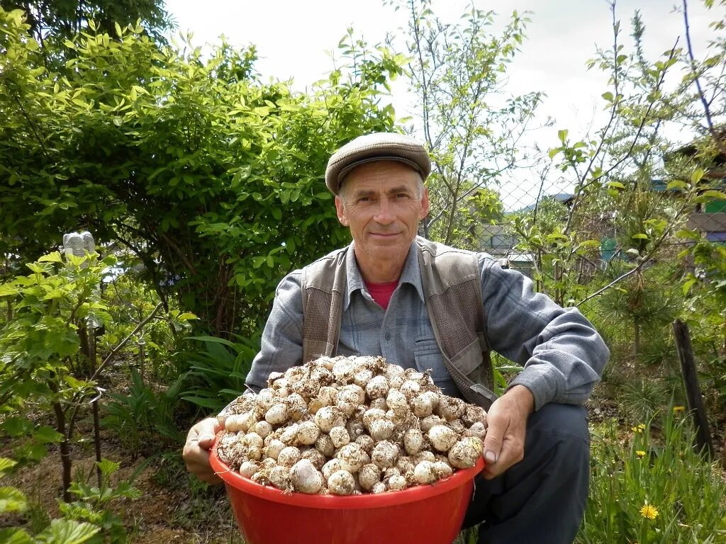 Фото А. Кузнецов 