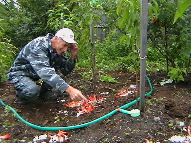 Фото А. Кузнецов 