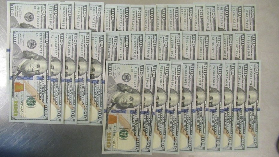    Автор фото: пресс-служба Пулковской таможни