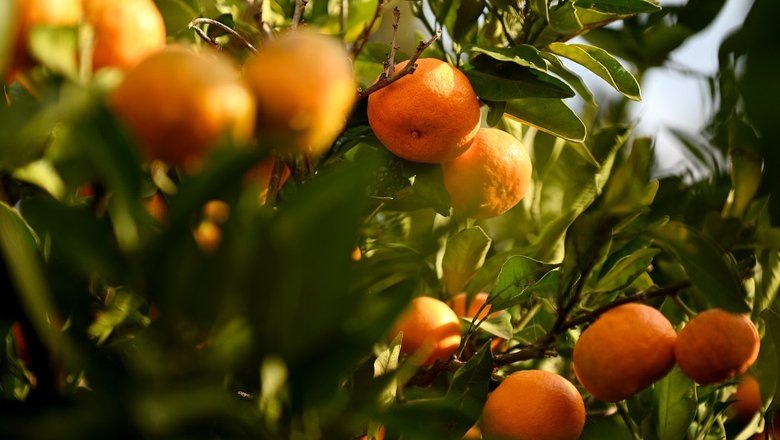 Источник: РИА "Новости"