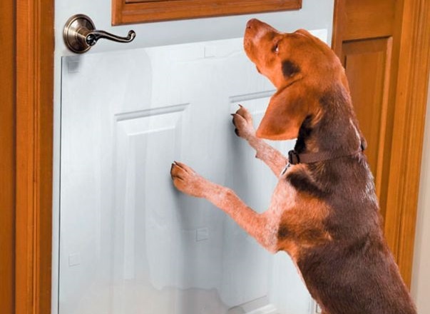 Источник изображения: Яндекс