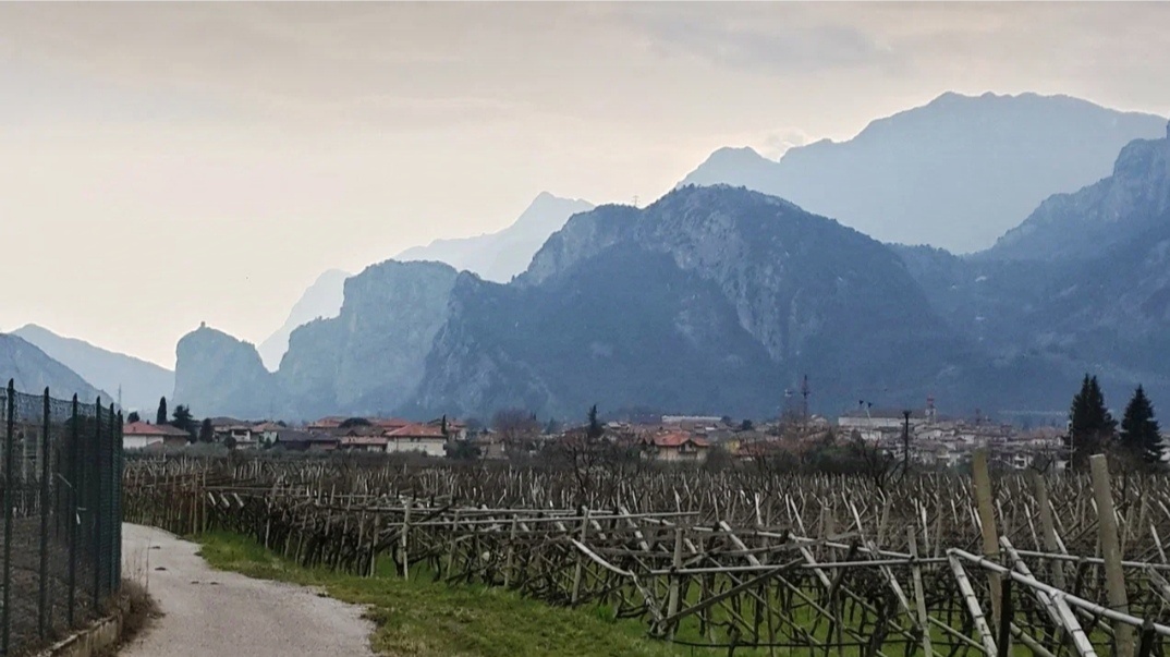 Сон про Строительство дома, из рубрики "Сны о прошлых жизнях"