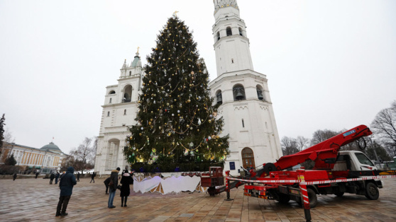    Специалисты выбрали главную новогоднюю ель России Алина Городниченко