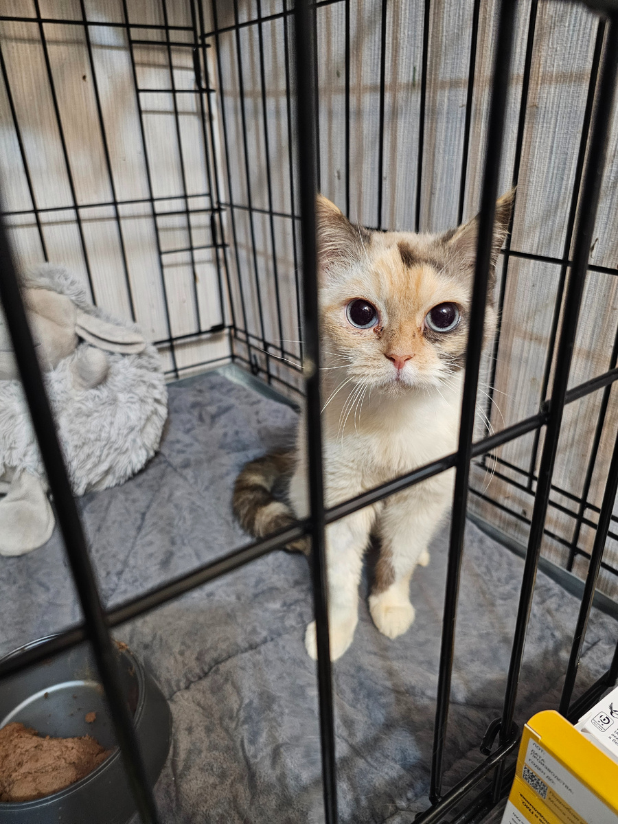 Фото автора. Маруся.