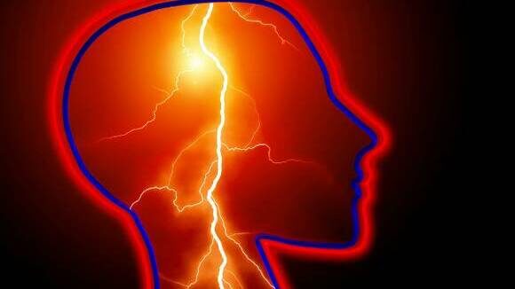     Источник: ССО