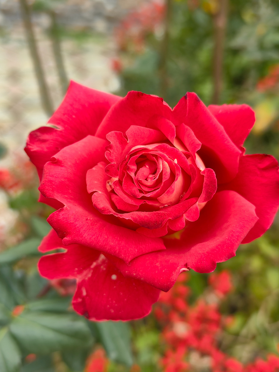 Сегодня. Фото автора канала