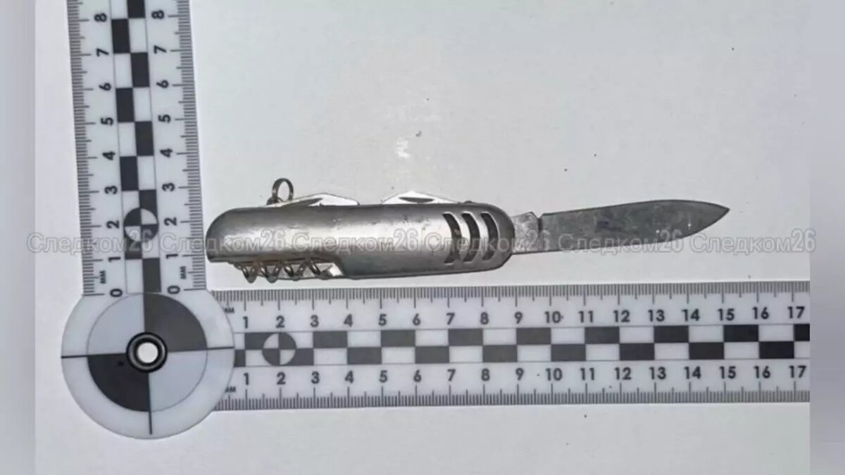     Автор: Следком Ставропольского края