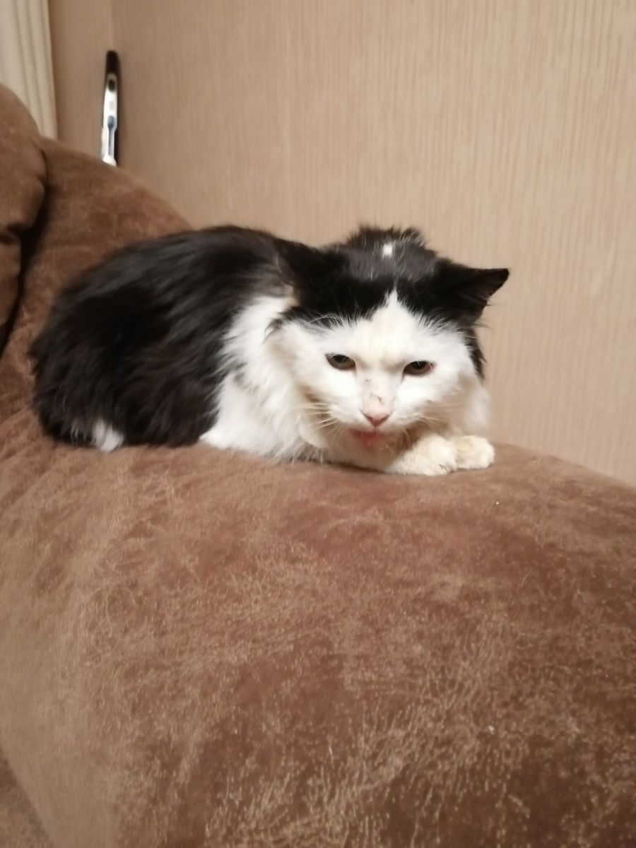 Лизуля в гостиной.